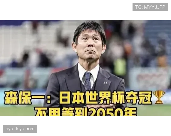 日本世界杯实力排名分析 日本世界杯实力排名分析